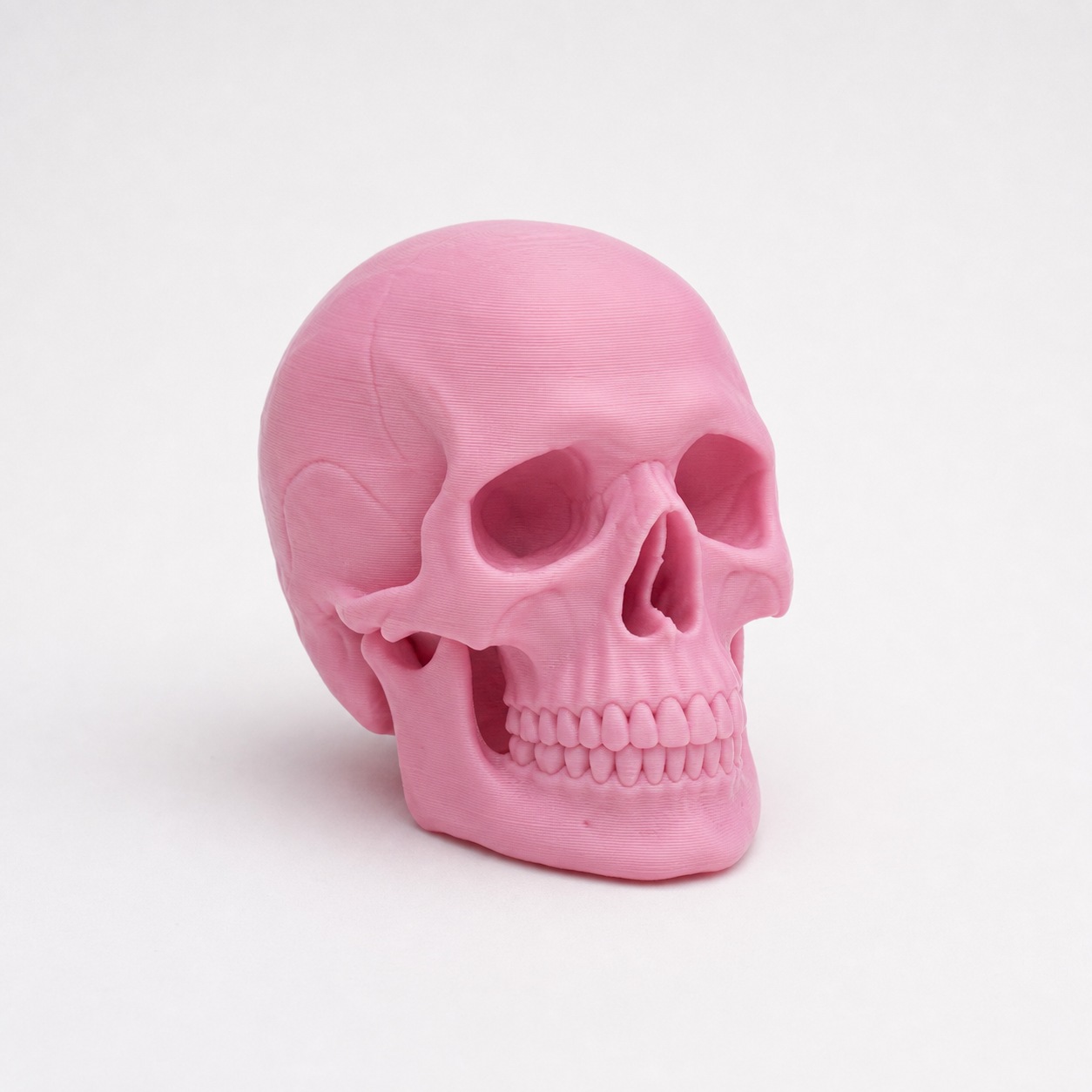 A printed human skull replica in pink photographed on a plain white studio background, showing the jaw and rows of teeth